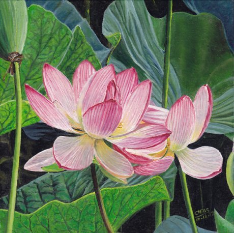 Lotus 2