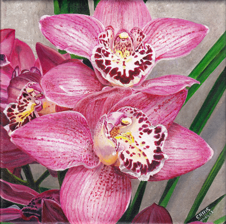 Orchidée Cymbidium